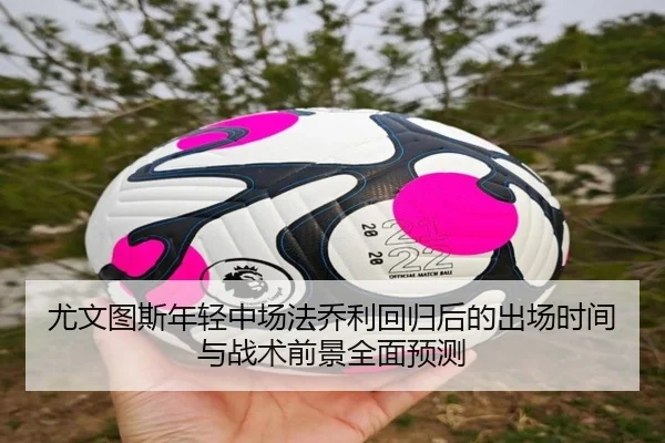 尤文图斯年轻中场法乔利回归后的出场时间与战术前景全面预测